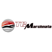 TGM Education logo - Similar company to Eduwin