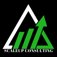 Scaleup Consulting logo - Similar company to Scaleup