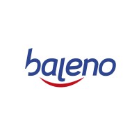 Baleno logo - Similar company to Openconnexio Srl