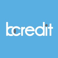 BCREDIT logo - Similar company to Vheex