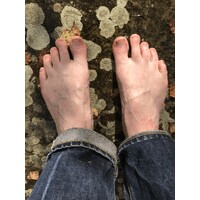 Barefoot Lawyer logo - Similar company to Regenerative Governance
