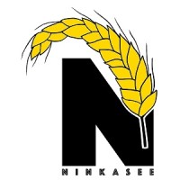 Ninkasee Beverages Pvt. Ltd. logo - Similar company to Style Art Pvt Ltd. (Ray & Dale)