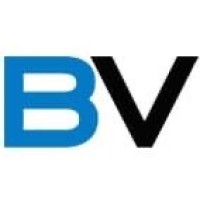 Buena Vista Homes logo - Similar company to Naild It Constructions