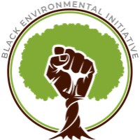 BEI (Black Environmental Initiative) logo - Similar company to Ecoschools Canada