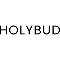 Holybud Studio logo - Similar company to Blocks