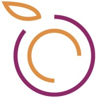 BLUEBERRY DIGITAL SERVICES logo - Similar company to Supralog