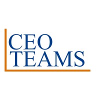 CEO Teams - ERP Software Services logo - Similar company to Ceo Computers