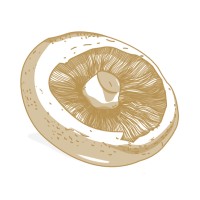 Eat Play Events & Catering logo - Similar company to Acuitas 3D