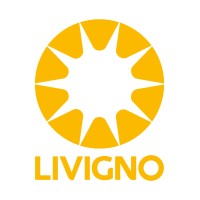 LIVIGNO NEXT logo - Similar company to Untangled