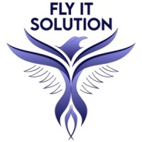 FLY IT Solution logo - Similar company to Wippy Ai