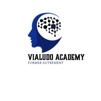 VIALUDO ACADEMY logo - Similar company to Vialudo
