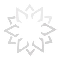Solutioneer logo - Similar company to Remote Ergonomics