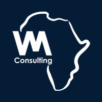 VM Consulting South Africa logo - Similar company to Icon Information Systems Ltd.