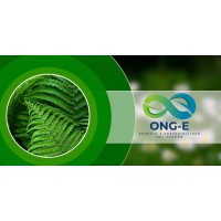 ONG-E logo - Similar company to Georep Spa