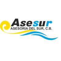 ASESORIA DEL SUR, C.B. logo - Similar company to Yflow® Sd