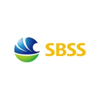 SBSS Consultants logo - Similar company to Development Forces