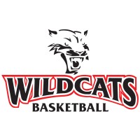 Wildcats Basketball Club logo - Similar company to Delta Dubs