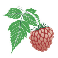 Salmon Berry Travel & Tours, LLC logo - Similar company to Talent Solutions By Worksource Spokane
