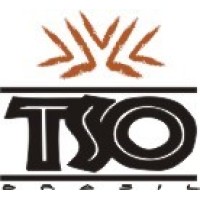 TSO Brasil logo - Similar company to Casulo Colab