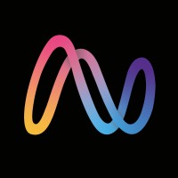 Neshes Global logo - Similar company to Fastway Solutions