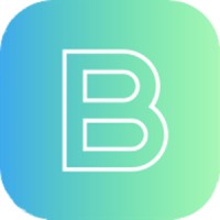 Bise Accounting Services, LLC logo - Similar company to Scott Accounting Services