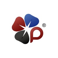 Projecttime logo - Similar company to Innux Technologies