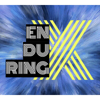 EnduringX logo - Similar company to Dubotech