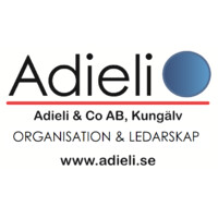Adieli & Co Ab