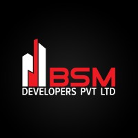 BSM Developers logo - Similar company to Erinsight