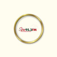 Spin 95.3 FM logo - Similar company to Openxswitch