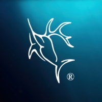 Majesty Outdoors logo - Similar company to Quincy Management, Inc.