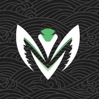 San Esport logo - Similar company to Teamates Gaming Esport