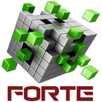 FORTE ASSET SERVICES Pty Ltd logo - Similar company to Tender Experts
