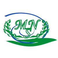 Mithila Soft Net logo - Similar company to Mithila Softech