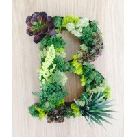 Moss Art Studio logo - Similar company to Moss N Art - Green City Solution