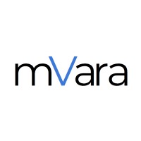 mVara logo - Similar company to Datalog, Inc.