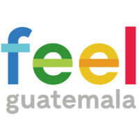 Feel Guatemala logo - Similar company to Páginas Y Web