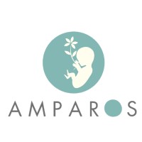 Fundación Amparos logo - Similar company to Pitt Study Uk