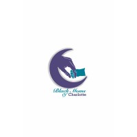 Black Moms of Charlotte logo - Similar company to Virtually Ko L.L.C.