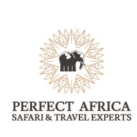 Perfect Africa - Luxury Safari And Travel Experts