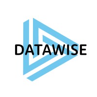 DataWise KK logo - Similar company to 株式会社Datafluct