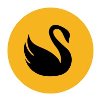 Black Swan Finans logo - Similar company to Sadif Investment Analytics