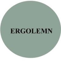 Ergolemn S.R.L. logo - Similar company to Dst Dauermagnet-Systemtechnik Gmbh