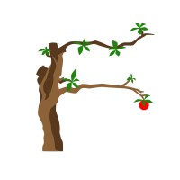 The Mayfruit Group