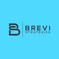 Brevi Strategies logo - Similar company to Anmed Human Resources
