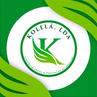 KOLELÃ, LDA logo - Similar company to The Antifragile Academy