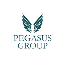 Pegasus Group logo - Similar company to Comtech Power Solutions