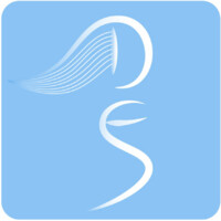 Data Science Enthusiasts logo - Similar company to Data Derivators