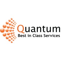 Quantum Tera Network logo - Similar company to Pt. Dynagear Pandu Pratama