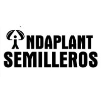 SEMILLERO INDAPLANT S.L. logo - Similar company to Agro Mòdol, S.A.